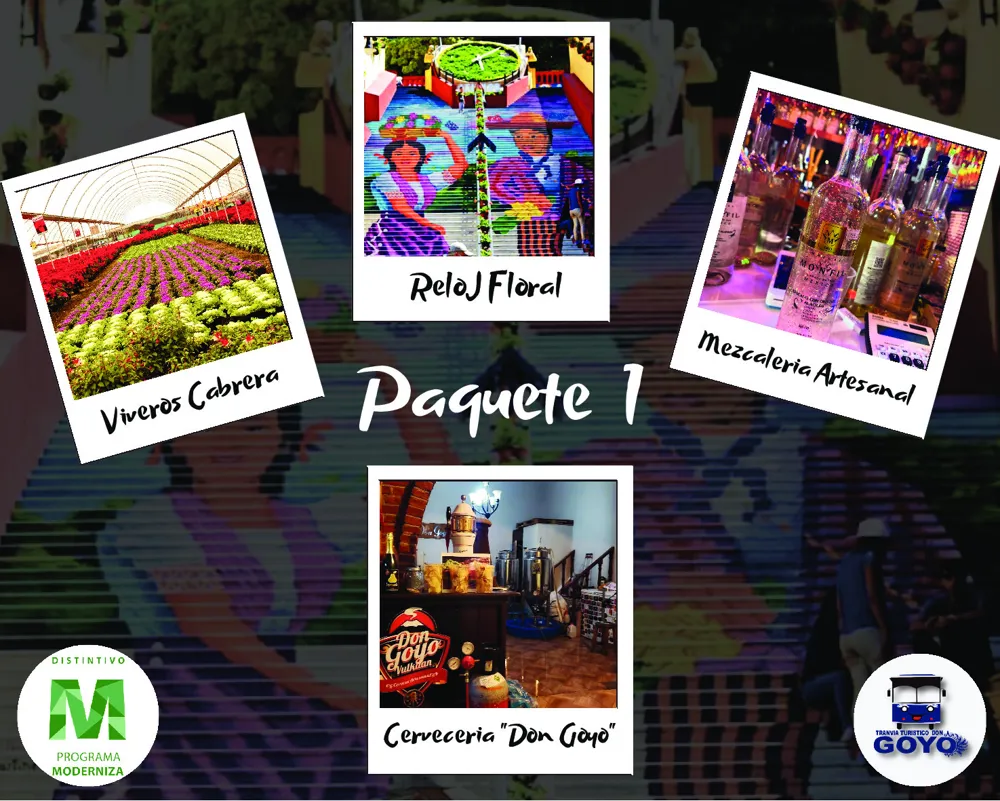 Imagen de Paquete 1_