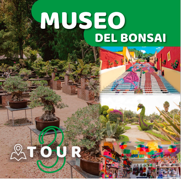 Imagen de Tour Museo del Bonsai