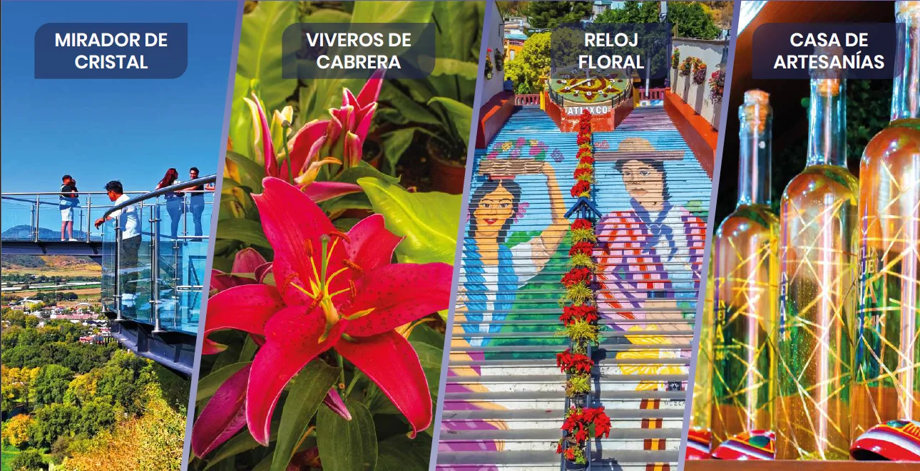Imagen de Reloj Floral