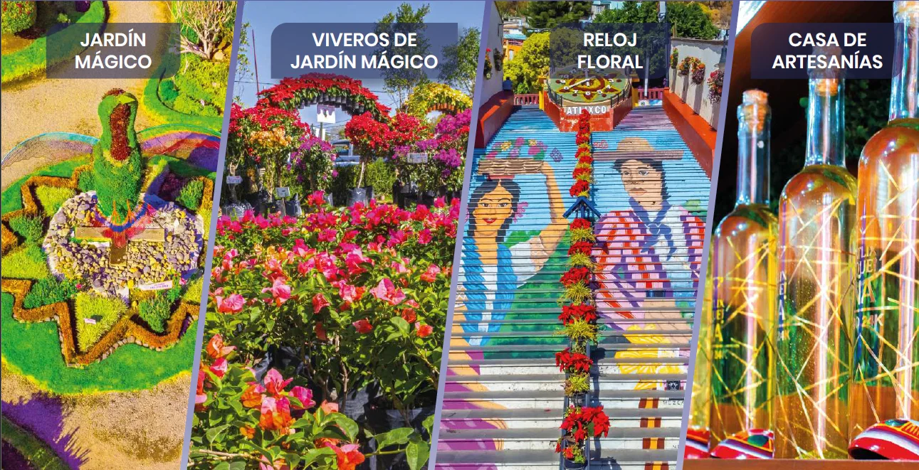 Imagen de Jardín Mágico