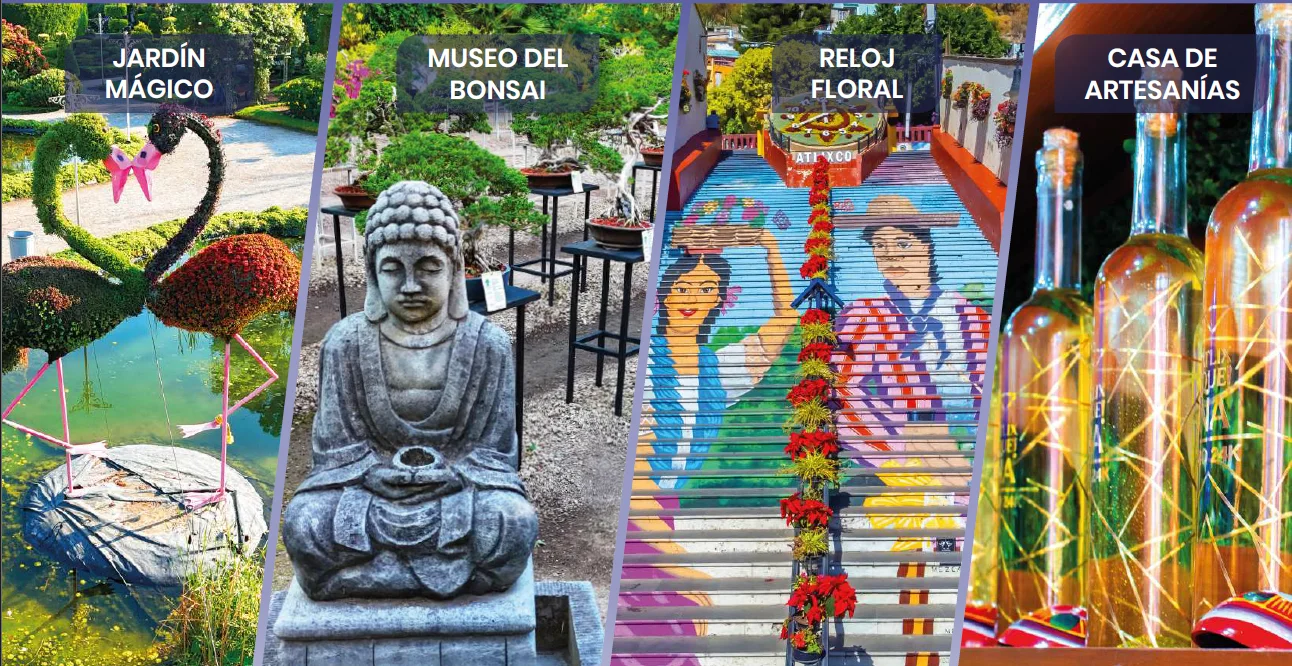 Imagen de Museo del Bonsái
