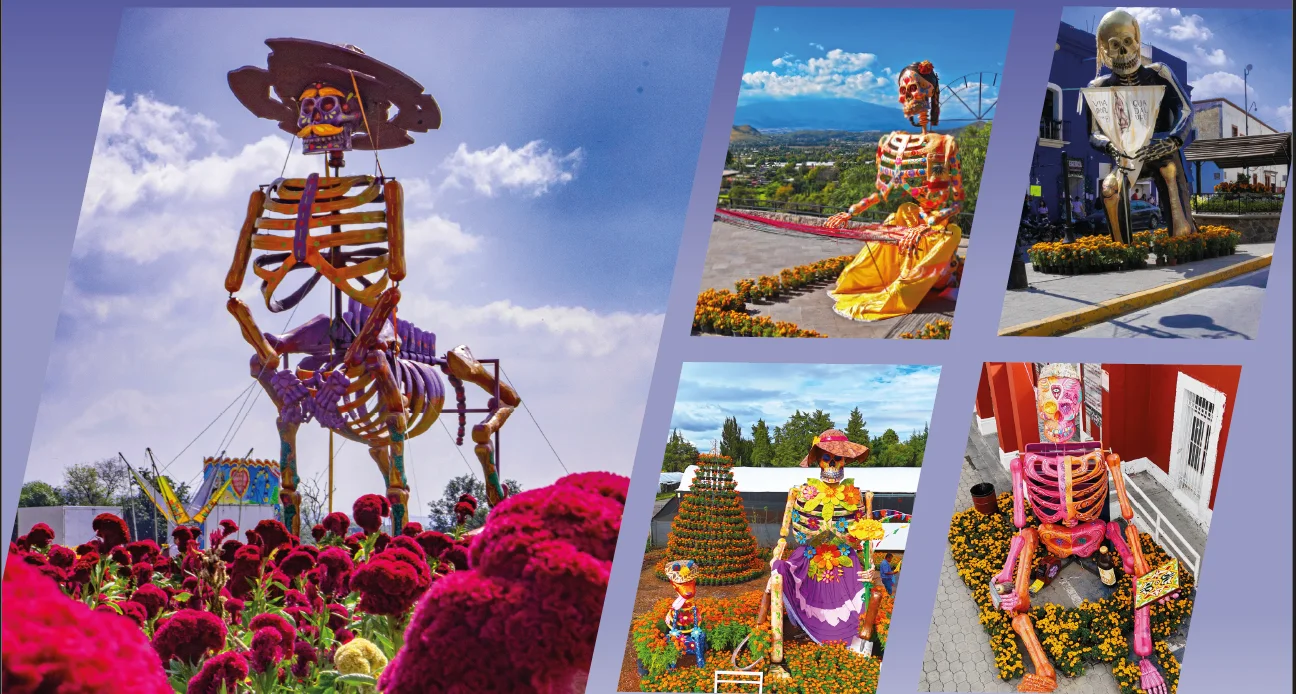 Imagen de Valle de Catrinas